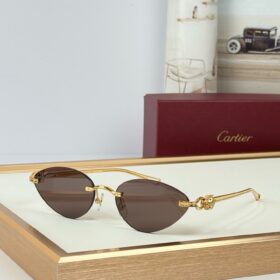 Cartier CT0649S sunglasses