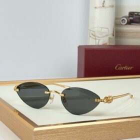 Cartier CT0649S sunglasses