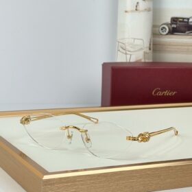 Cartier CT0649S sunglasses