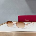 Cartier CT0648S sunglasses