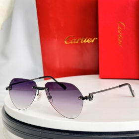 Cartier CT0629S sunglasses