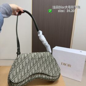 DIOR PS1056