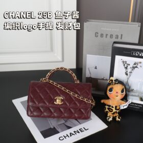 תיק שרשרת CHANEL 25