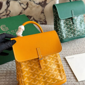 תיק גב GOYARD
