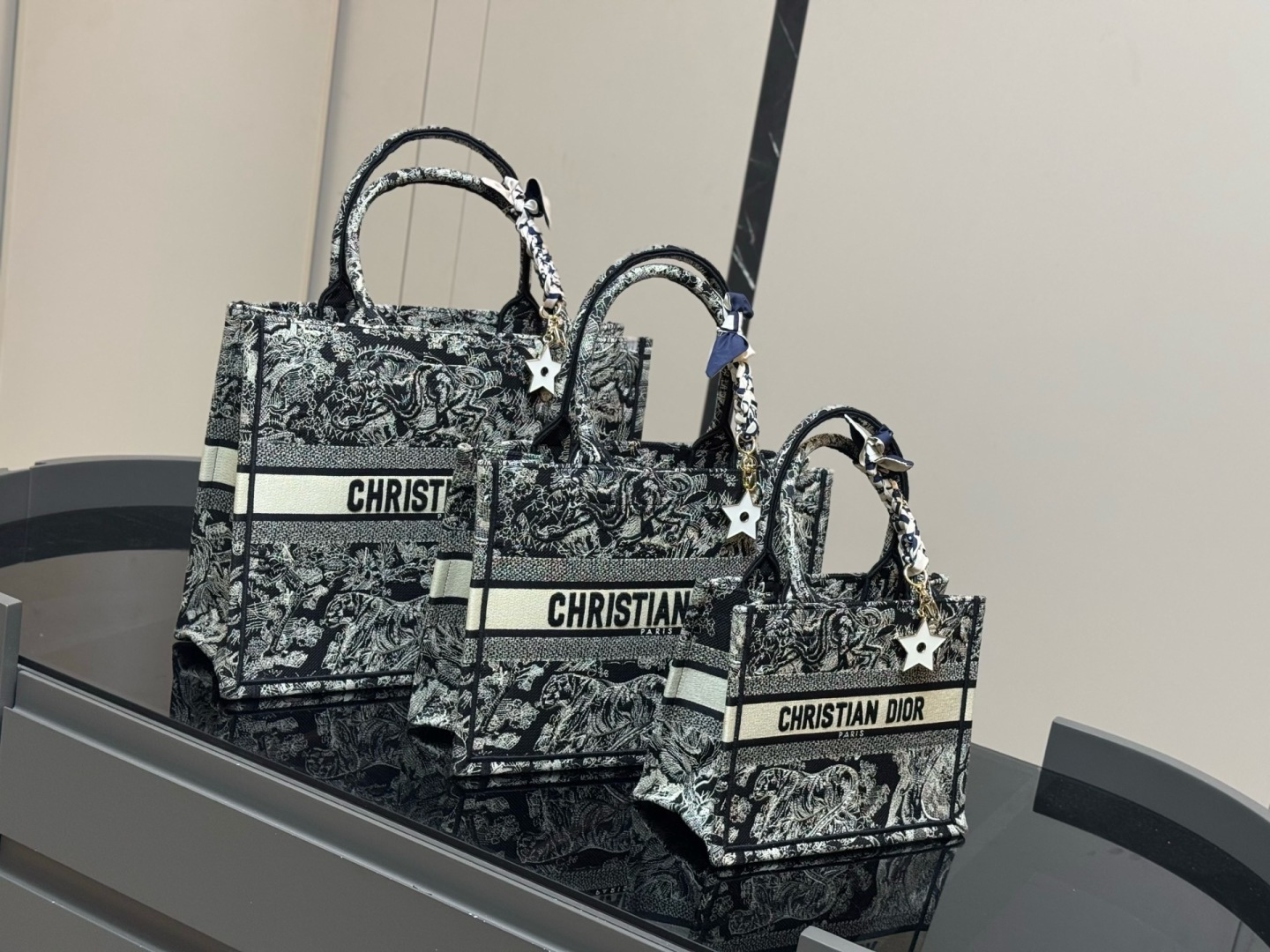cmp_i1788147460823_2321_0_8 תיק DIOR Book Tote – תמונה 1
